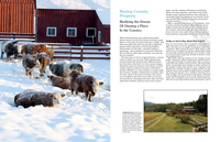 Back to Basics: A Complete Guide to Traditional Skills (4th Edition)