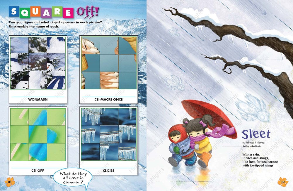 Winter Puzzles