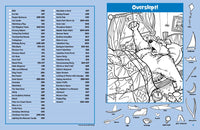 Jumbo Book of Hidden Pictures