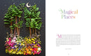 The Power of Flowers