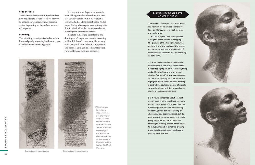 Drawing the Head for Artists