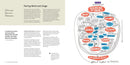 Information Design Workbook, Revised and Updated