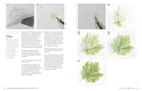 Drawing and Painting Botanicals for Artists
