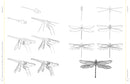 Draw Like an Artist: 100 Birds, Butterflies, and Other Insects
