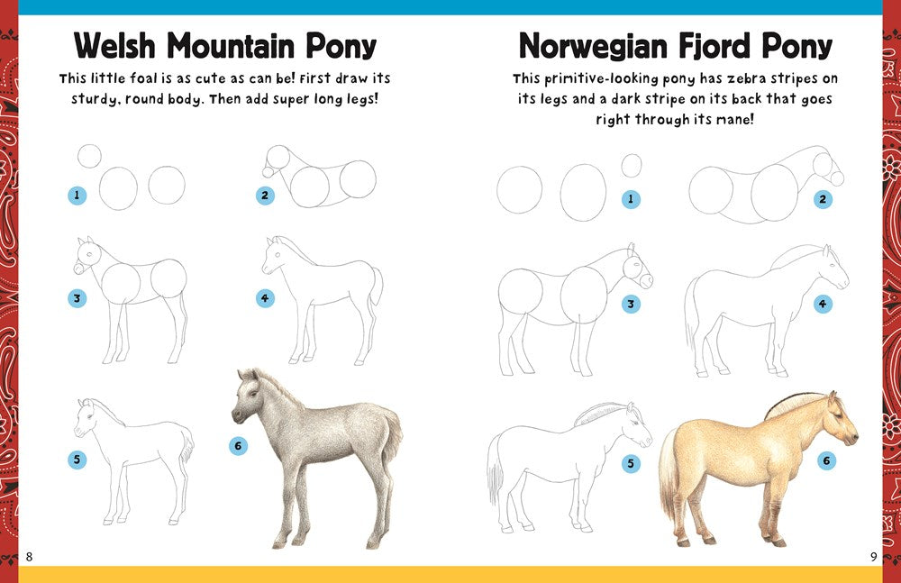 How to Draw Horses & Ponies