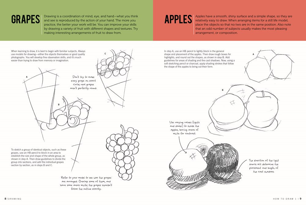 Drawing: How to Draw 1