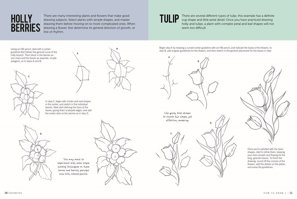 Drawing: How to Draw 1