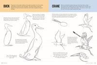 Drawing: How to Draw 1
