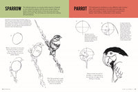 Drawing: How to Draw 1