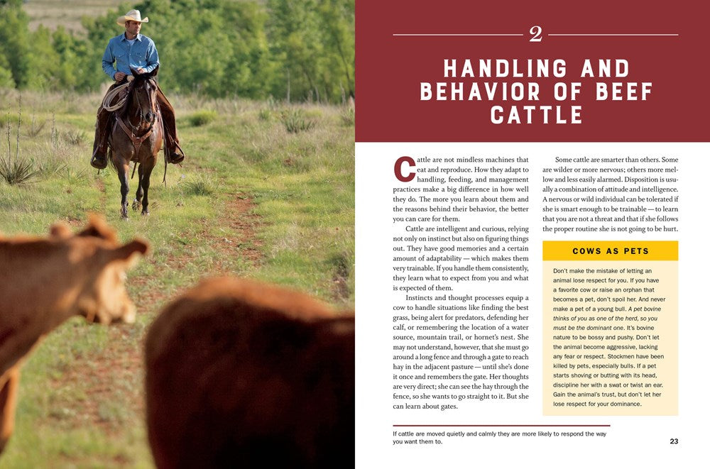 Storey's Guide to Raising Beef Cattle, 4th Edition