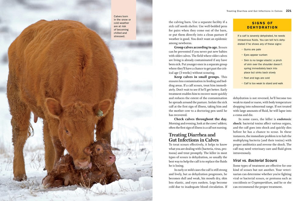 Storey's Guide to Raising Beef Cattle, 4th Edition