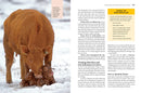 Storey's Guide to Raising Beef Cattle, 4th Edition