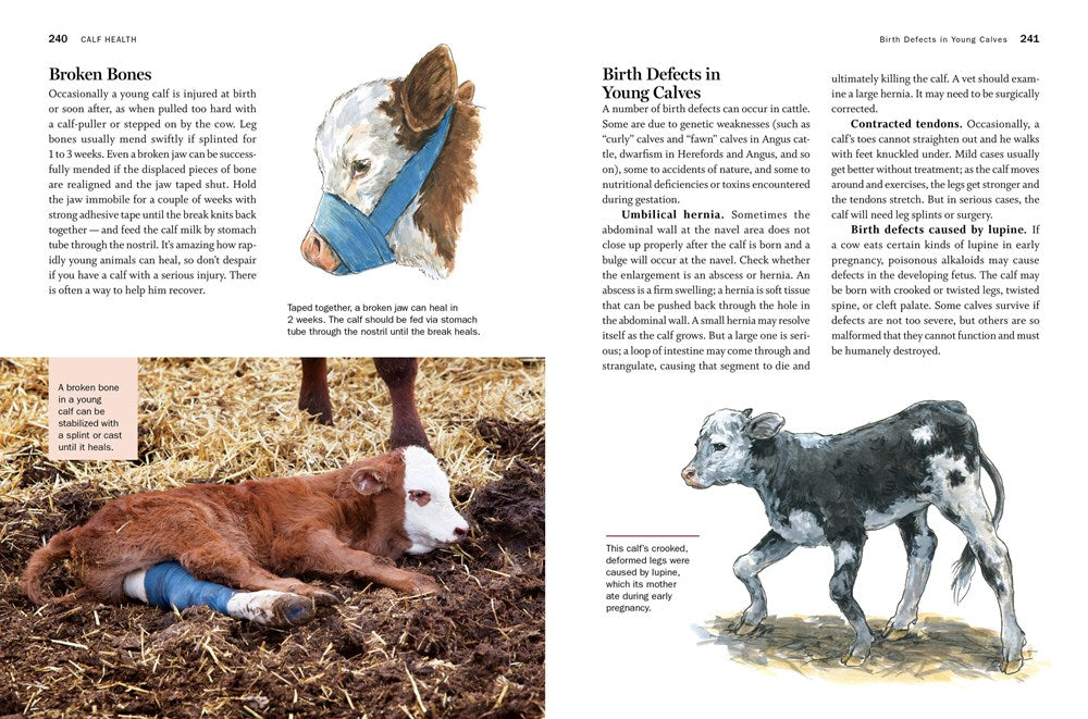 Storey's Guide to Raising Beef Cattle, 4th Edition