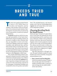 Storey's Guide to Raising Pigs, 4th Edition
