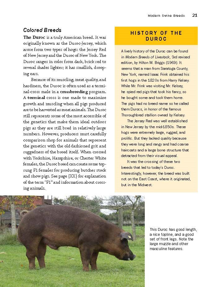 Storey's Guide to Raising Pigs, 4th Edition