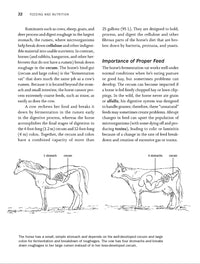 Storey's Guide to Raising Horses, 3rd Edition