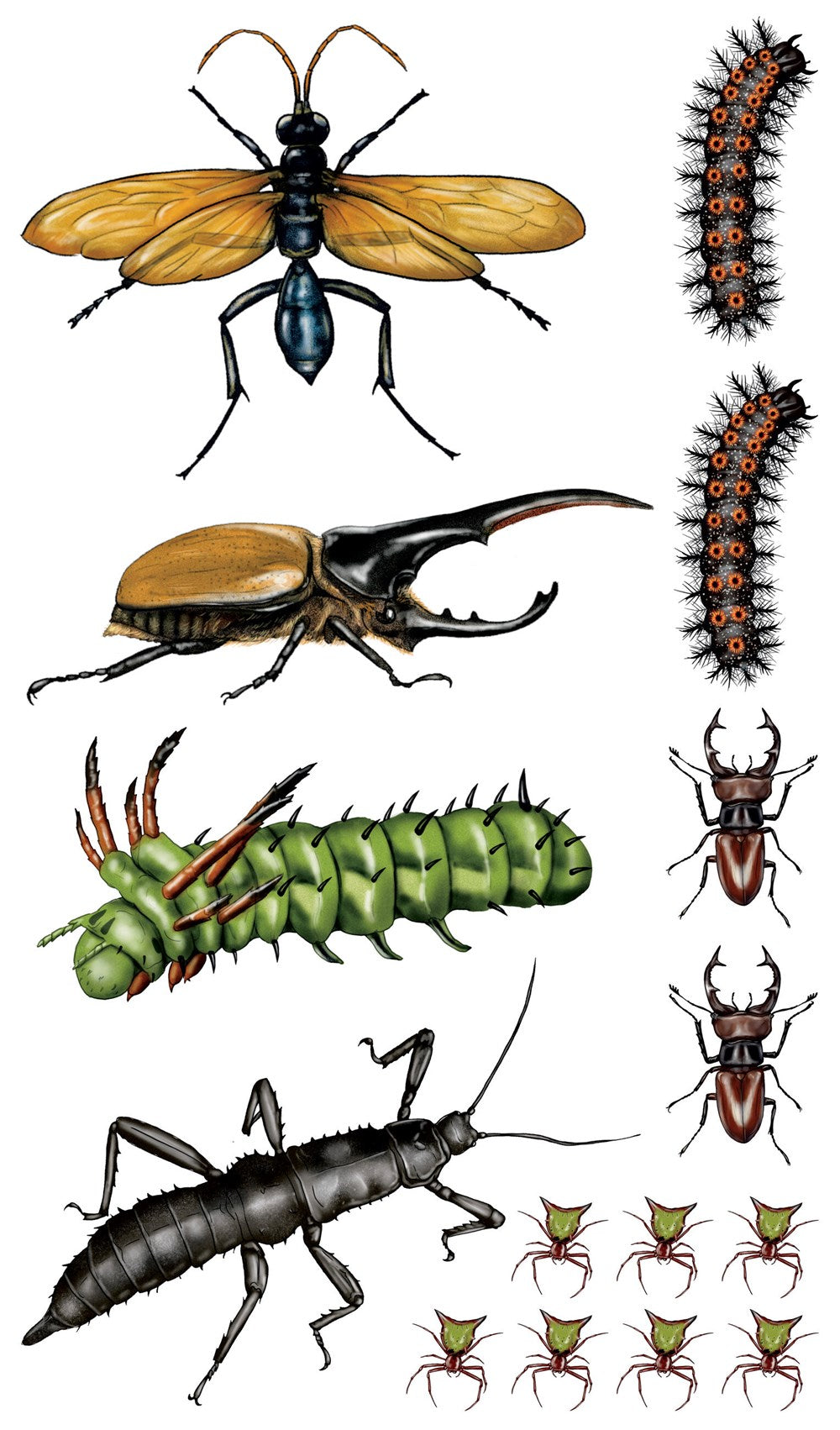 Creepy, Crawly Tattoo Bugs