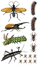 Creepy, Crawly Tattoo Bugs
