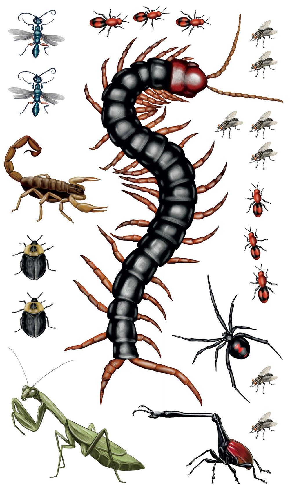Creepy, Crawly Tattoo Bugs