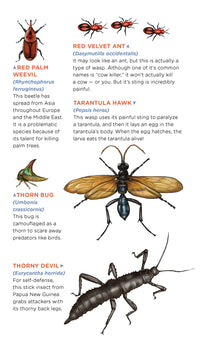 Creepy, Crawly Tattoo Bugs