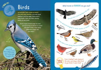 Backpack Explorer: On the Nature Trail : What Will You Find?