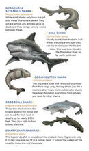 Super, Strong Tattoo Sharks