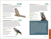 North American Bird Watching for Beginners