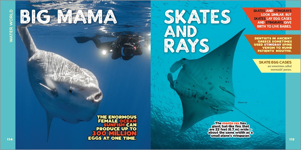 The Fascinating Animal Book for Kids