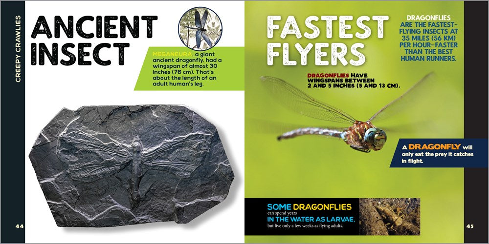 The Fascinating Animal Book for Kids