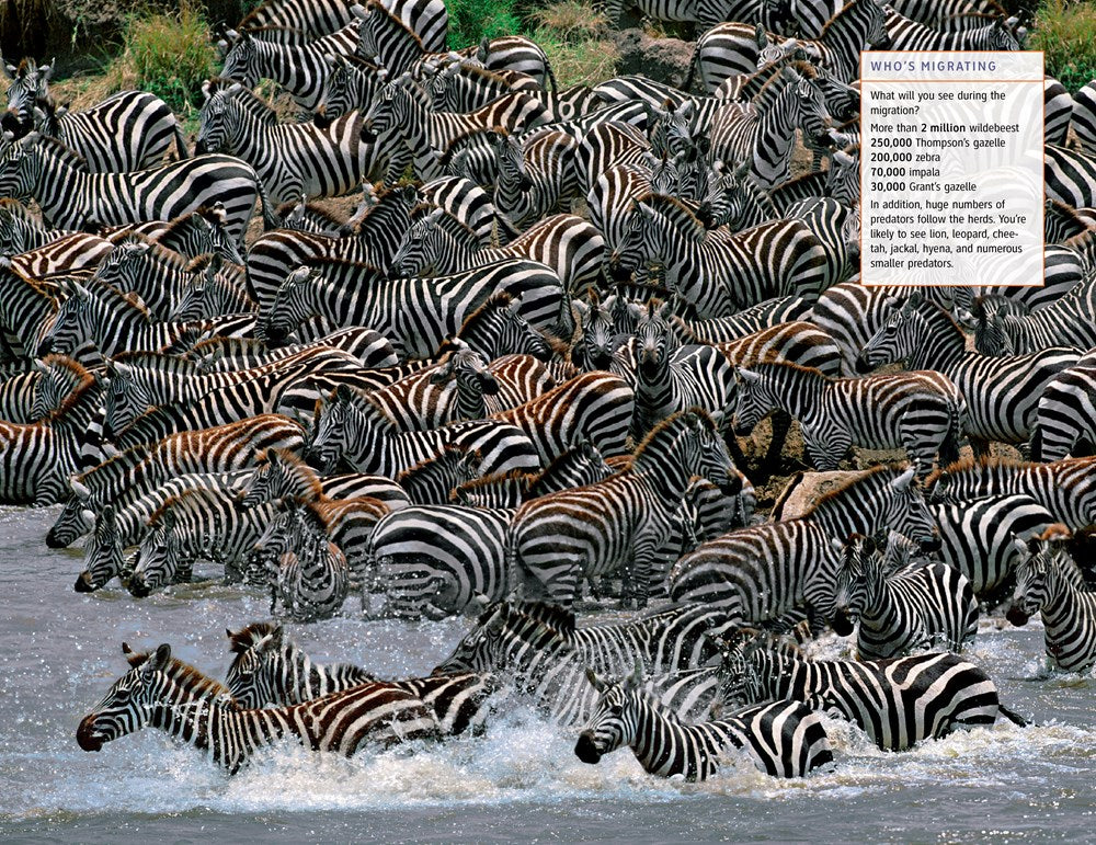 Fodor's The Complete Guide to African Safaris