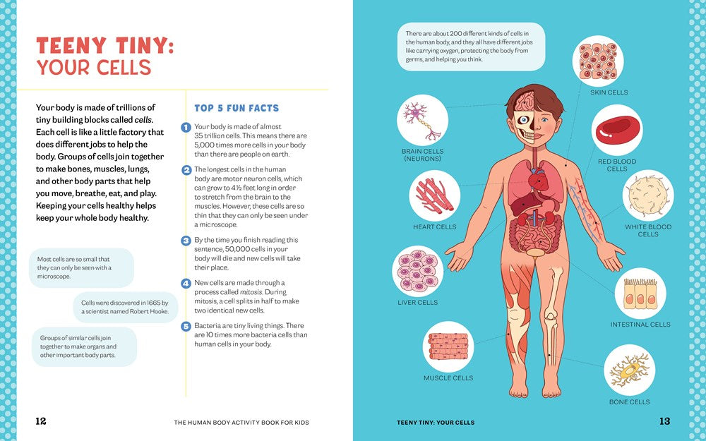 Human Body Activity Book for Kids