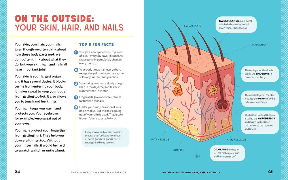 Human Body Activity Book for Kids