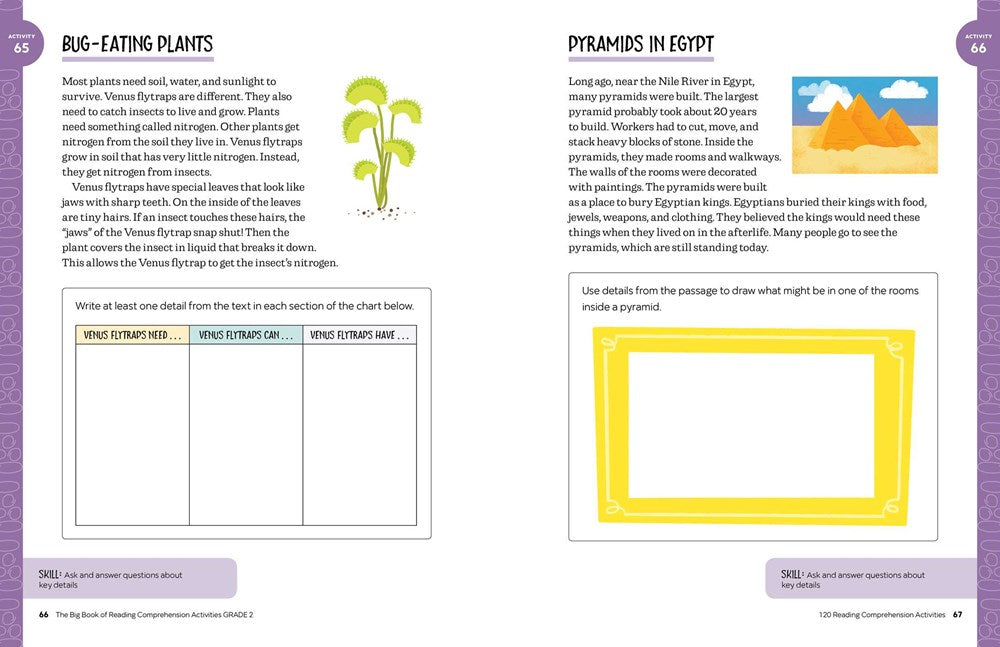 The Big Book of Reading Comprehension Activities, Grade 2