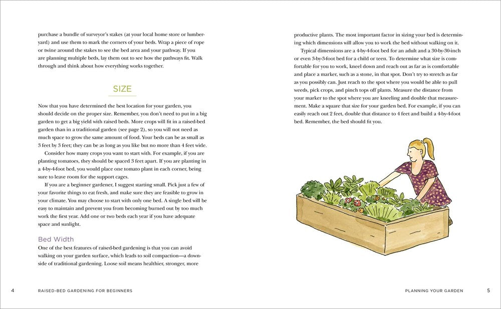 Raised-Bed Gardening for Beginners