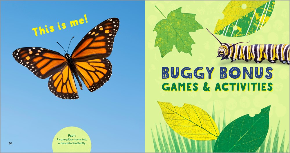 The Backyard Bug Book for Kids