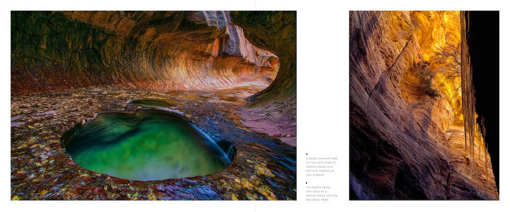 Utah: The Beehive State