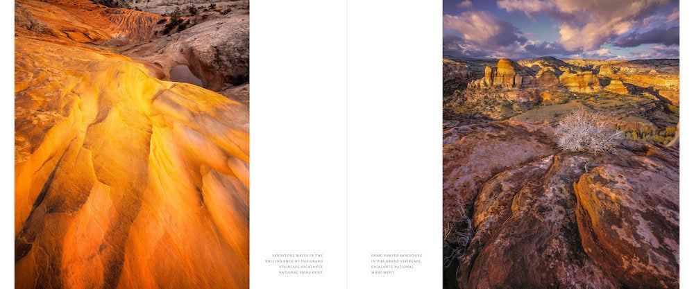 Utah: The Beehive State