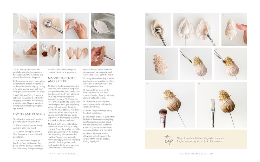 The Art of Modern Cake