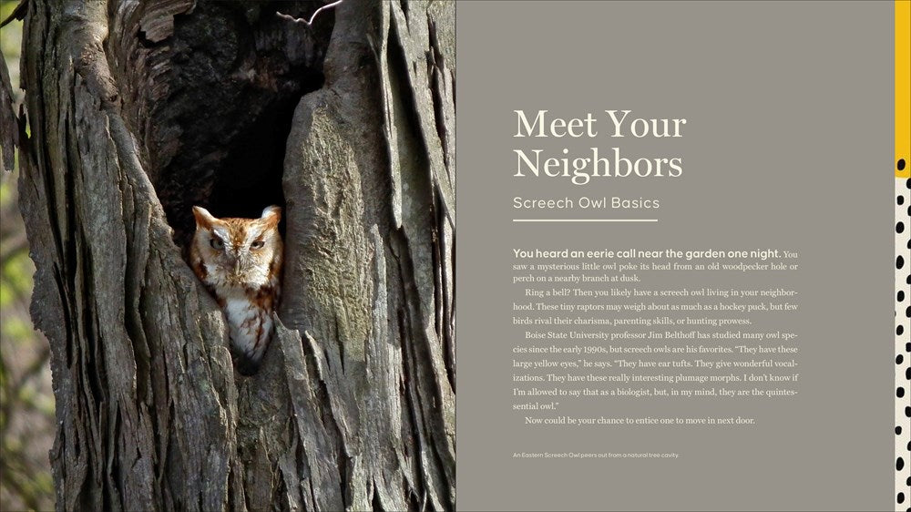 The Screech Owl Companion