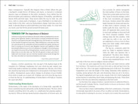 Fixing Your Feet