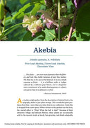 Cold-Hardy Fruits and Nuts