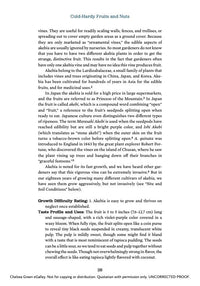 Cold-Hardy Fruits and Nuts