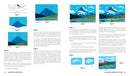 Gouache in 4 Easy Steps