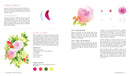 The Beginner's Guide to Watercolor