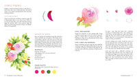 The Beginner's Guide to Watercolor