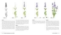 Oil Pastel Masterpieces in 4 Easy Steps
