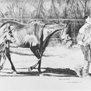 Never Trust a Sneaky Pony