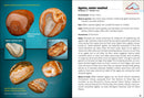 Lake Superior Rocks & Minerals Field Guide