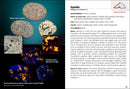 Lake Superior Rocks & Minerals Field Guide