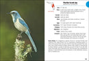Birds of Florida Field Guide  (3rd Edition, Revised)